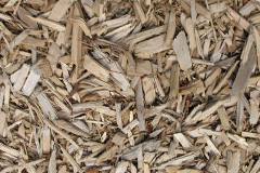 biomass boilers Windy Arbor
